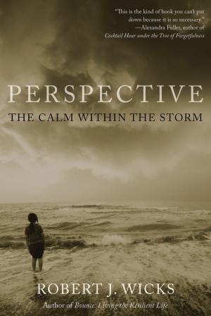 Cover of the book Perspective by Robert C. Solomon