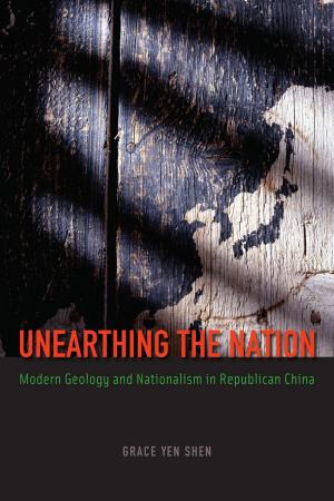 Cover of the book Unearthing the Nation by Frank Rosell