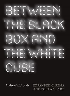 Cover of the book Between the Black Box and the White Cube by John Whittier Treat
