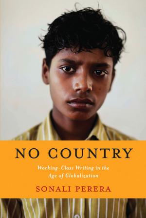Cover of the book No Country by William Duggan, , Ph.D.