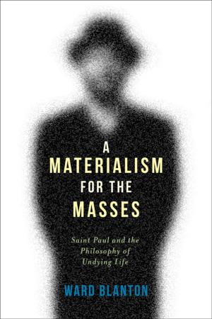 Cover of the book A Materialism for the Masses by Rachel Fulton Brown