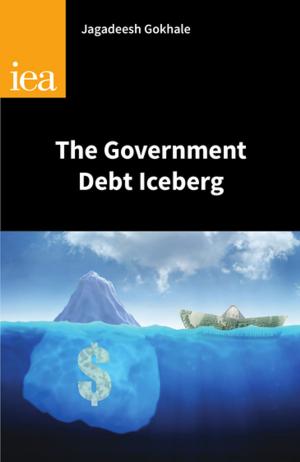 Cover of the book The Government Debt Iceberg by Danny Dorling
