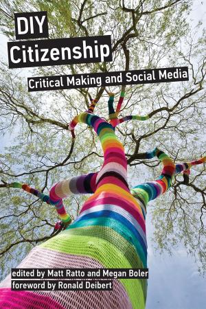 Cover of the book DIY Citizenship by Nader Hashemi, Danny Postel