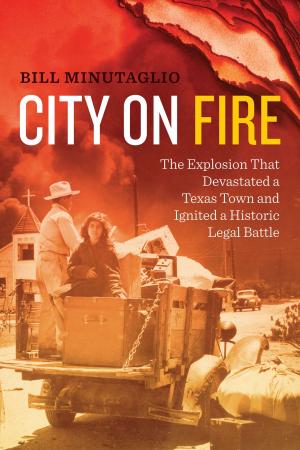 Cover of the book City on Fire by Michael Eppel