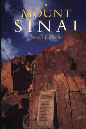 Cover of the book Mount Sinai by 