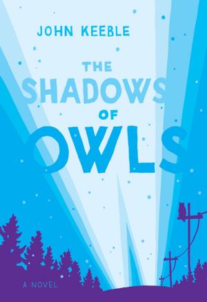Cover of the book The Shadows of Owls by Kevin Whalen