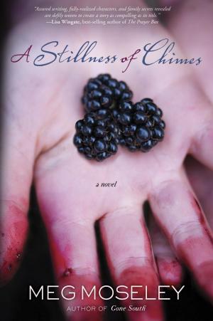 Cover of the book A Stillness of Chimes by Jamie Wright