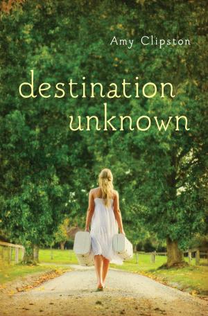 Cover of the book Destination Unknown by Meg Moseley