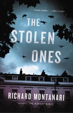 Cover of the book The Stolen Ones by David Foster Wallace