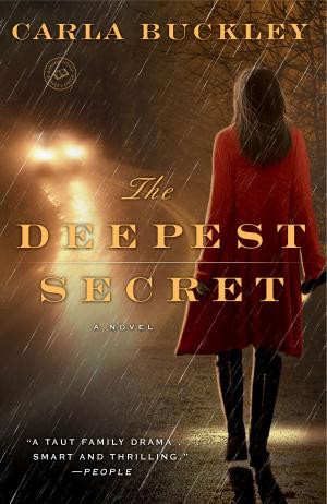 Cover of the book The Deepest Secret by Sandra Chastain