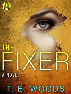 Cover of the book The Fixer by Christie Golden