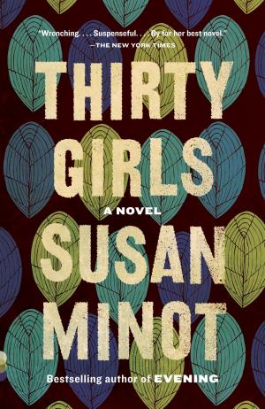 Book cover of Thirty Girls