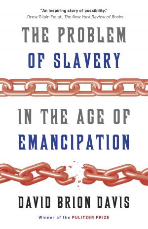 Book cover of The Problem of Slavery in the Age of Emancipation