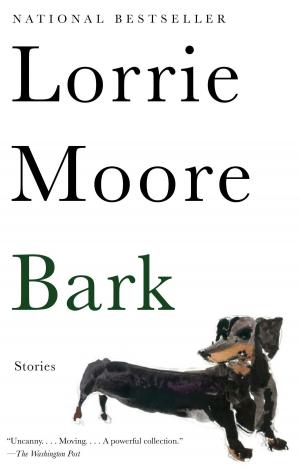 Book cover of Bark