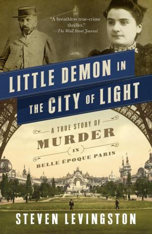 Cover of the book Little Demon in the City of Light by James I. Robertson, Jr.