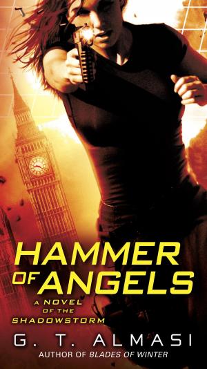 Cover of the book Hammer of Angels by Greg Van Eekhout