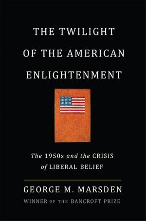 Cover of the book The Twilight of the American Enlightenment by Dambisa Moyo