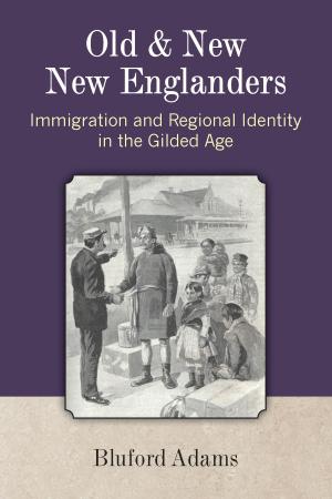 Cover of the book Old and New New Englanders by David P. Auerswald