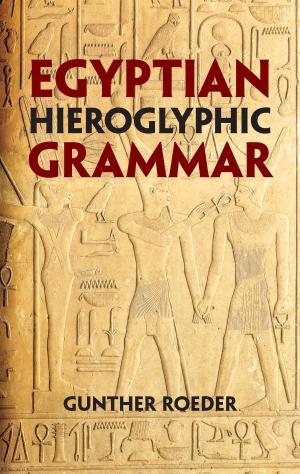 Book cover of Egyptian Hieroglyphic Grammar