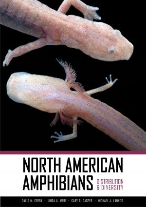Cover of the book North American Amphibians by Dan McKanan