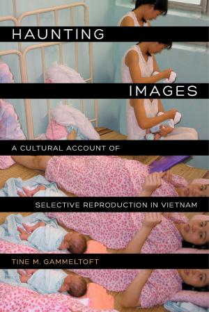 Cover of the book Haunting Images by Julie Sze