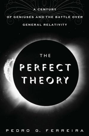 Cover of the book The Perfect Theory by Eudora Welty