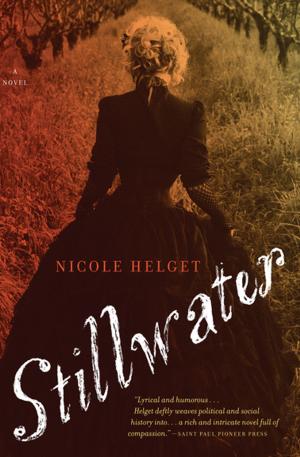 Cover of the book Stillwater by Susan Roth