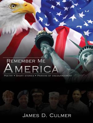 Cover of the book Remember Me America by Vince Guaglione