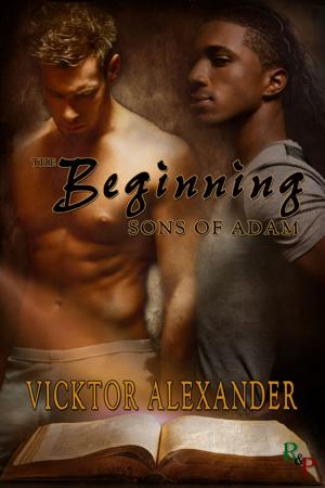 Book cover of The Beginning