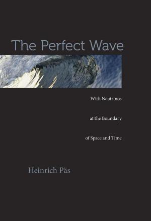 Cover of the book The Perfect Wave by Liam Matthew Brockey