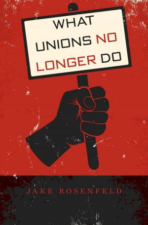 Cover of the book What Unions No Longer Do by Brendan O'Flaherty