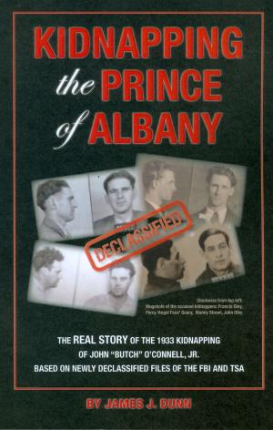 Cover of the book Kidnapping the Prince of Albany by Dean Mitchum