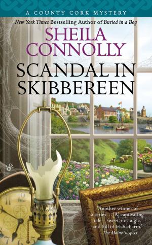 Cover of the book Scandal in Skibbereen by Katie Macalister