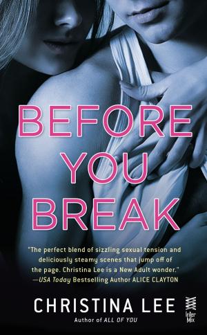 Cover of the book Before You Break by Jonelle Patrick