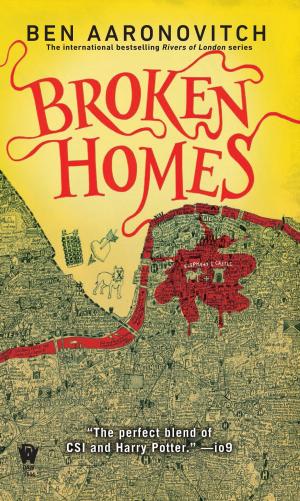 Cover of the book Broken Homes by Nnedi Okorafor