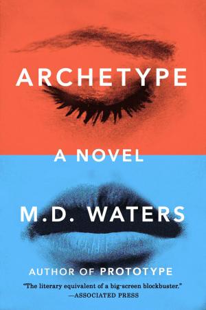 Cover of the book Archetype by Scot McAtee