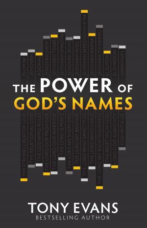 Cover of the book The Power of God's Names by Linda Chaikin