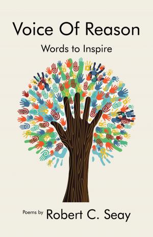 Cover of the book Voice of Reason (Words to Inspire) by Bedeker, DN