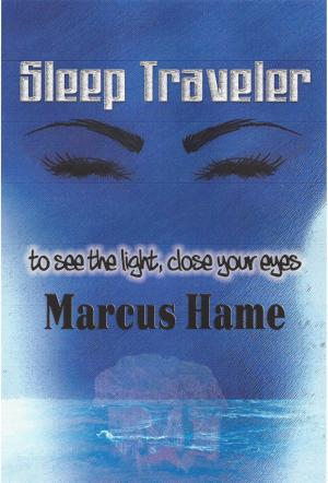 Cover of the book Sleep Traveler by Bruce A. Burton