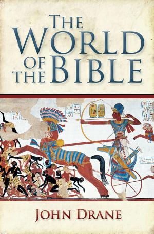 bigCover of the book The World of the Bible by 
