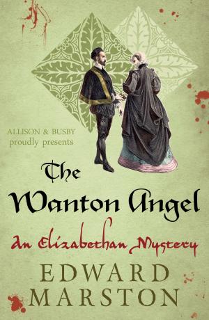 bigCover of the book The Wanton Angel by 