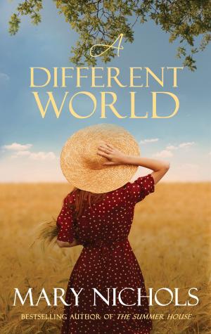 bigCover of the book A Different World by 