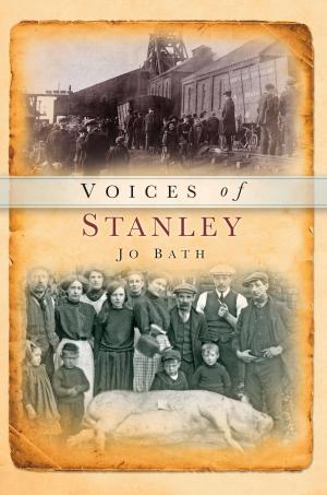 Cover of the book Voices of Stanley by Mike Morgan, Major General David Lloyd Owen