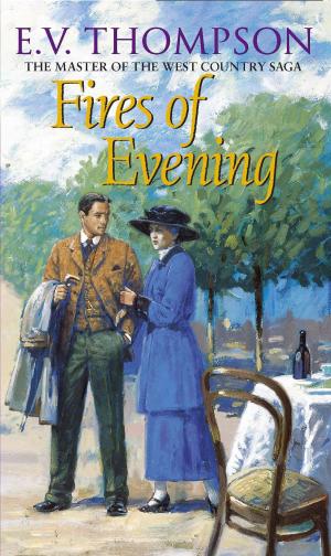 Cover of the book Fires Of Evening by Annette Yates