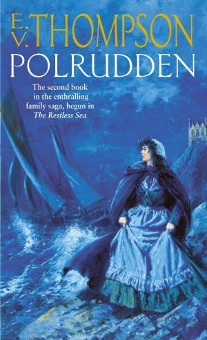 Cover of the book Polrudden by Winifred Holtby