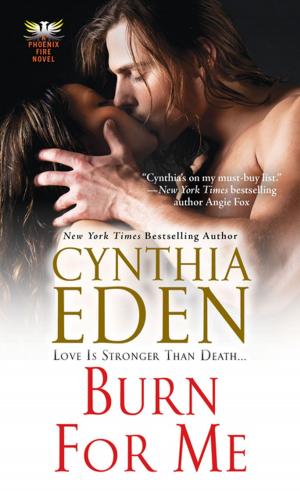 Cover of the book Burn for Me by Delia Rosen