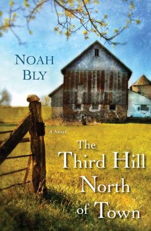 Book cover of The Third Hill North of Town