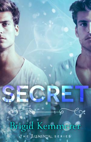 Cover of the book Secret by Joan Elizabeth Lloyd
