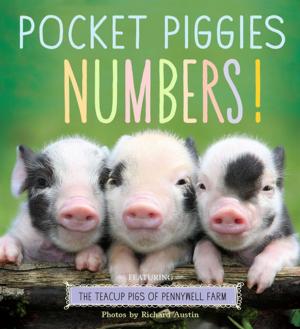 Cover of the book Pocket Piggies Numbers! by Workman Publishing