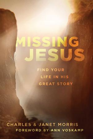 Cover of the book Missing Jesus by David Peters, Arlene Peters